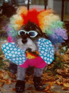 Funny Screensavers 0082